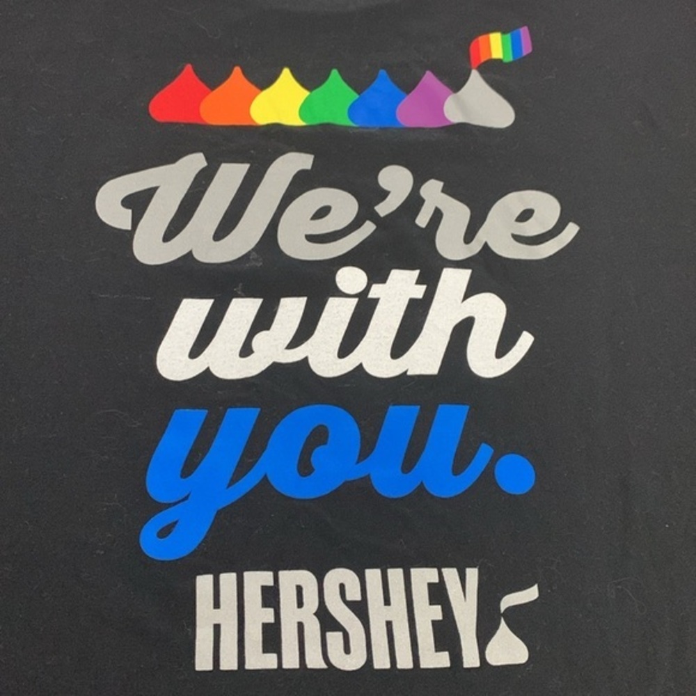 3/$20✨Hershey pride soft-style t-shirt ‘We’re with you’ Unisex